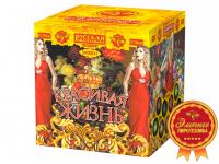 Красивая жизнь Фейерверк купить в Томске | tomsk.salutsklad.ru