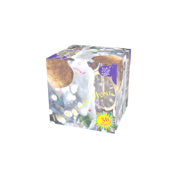 Новогодняя ночь Салют купить в Томске | tomsk.salutsklad.ru