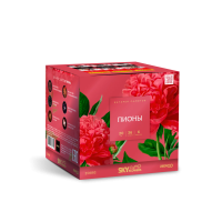 Пионы Салют купить в Томске | tomsk.salutsklad.ru