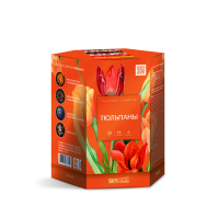 Тюльпаны Салют купить в Томске | tomsk.salutsklad.ru