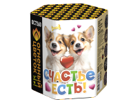 Счастье есть! Салют купить в Томске | tomsk.salutsklad.ru