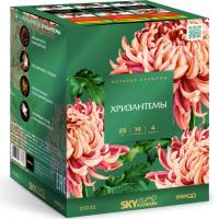 Хризантемы Фейерверк купить в Томске | tomsk.salutsklad.ru