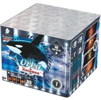 Косатка Фейерверк купить в Томске | tomsk.salutsklad.ru