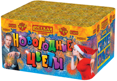 Новогодние цветы Фейерверк купить в Томске | tomsk.salutsklad.ru