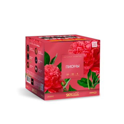 Пионы Салют купить в Томске | tomsk.salutsklad.ru