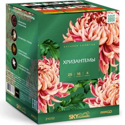 Хризантемы Фейерверк купить в Томске | tomsk.salutsklad.ru