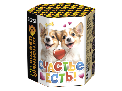 Счастье есть! Салют купить в Томске | tomsk.salutsklad.ru