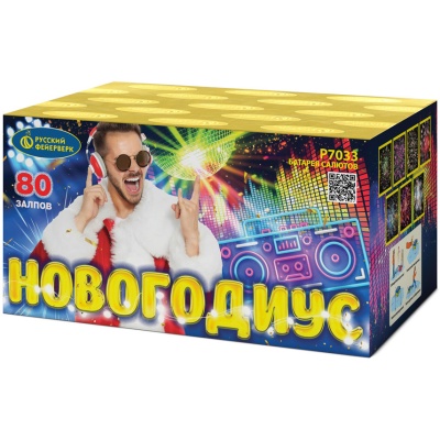 Новогодиус Фейерверк купить в Томске | tomsk.salutsklad.ru